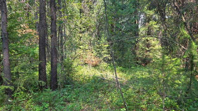 15 Lakeside Dr, Newport, WA 99156