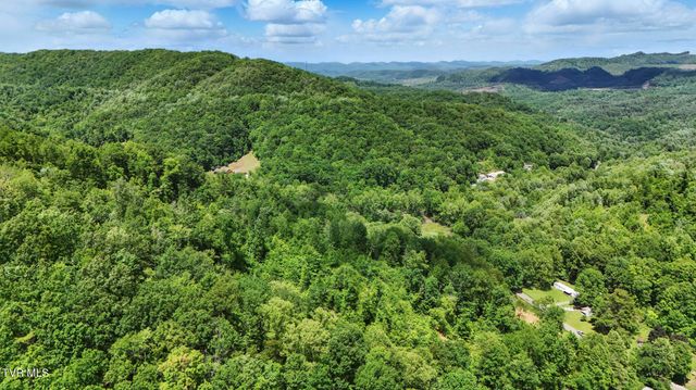 Tbd Hash Hollow Road, Wise, VA 24293