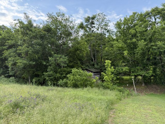 328 Young Branch Rd, Dixon Springs, TN 37057
