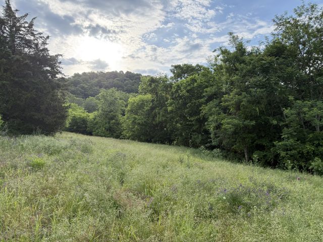 328 Young Branch Rd, Dixon Springs, TN 37057