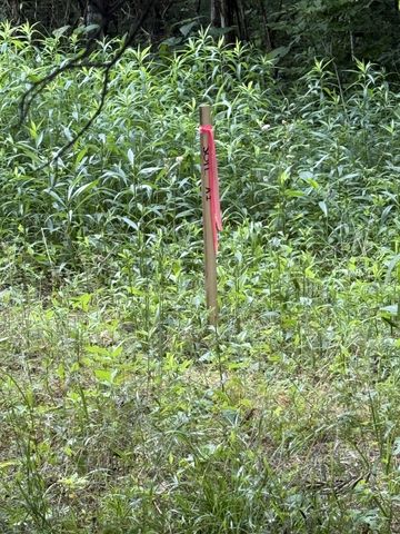 328 Young Branch Rd, Dixon Springs, TN 37057