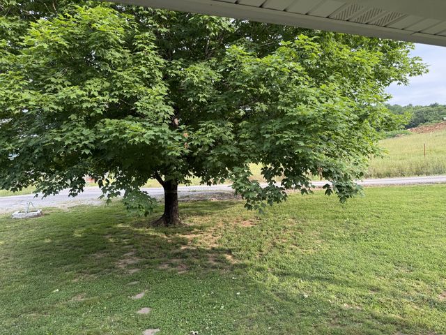 328 Young Branch Rd, Dixon Springs, TN 37057
