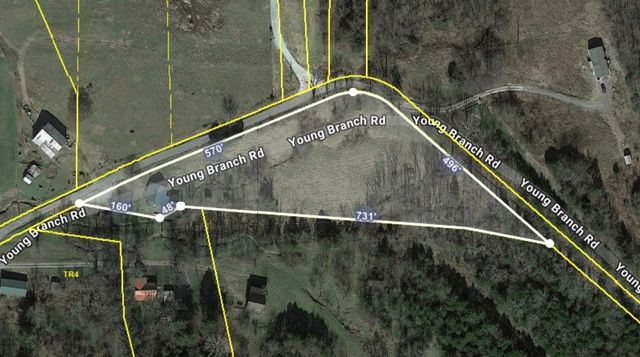 328 Young Branch Rd, Dixon Springs, TN 37057