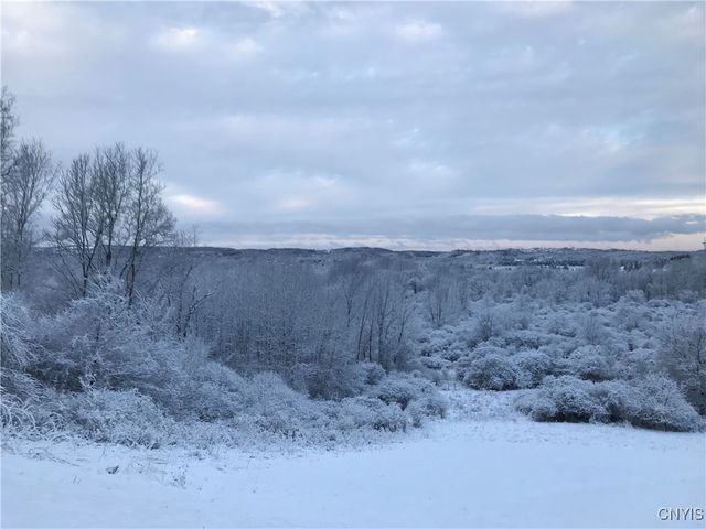 6915 Kassonta Drive, Dewitt, NY 13078