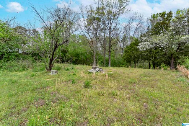 1486 SELF CREEK ROAD, Morris, AL 35116