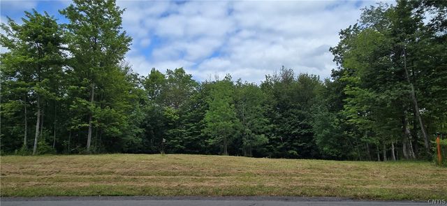 7101 Kittiwake Run, Manlius, NY 13104
