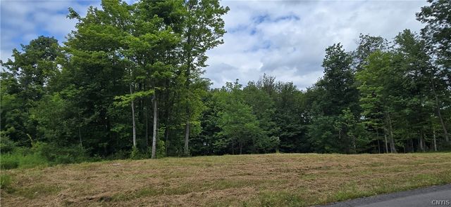 7101 Kittiwake Run, Manlius, NY 13104
