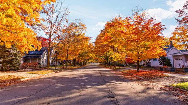 427 Washington Street, Traverse City, MI 49684