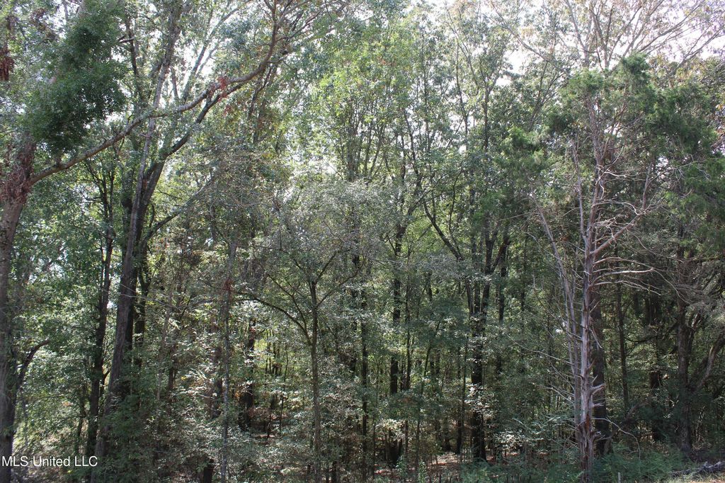 11 Old Barn Cove, Hernando, MS 38632 — photo 3