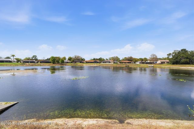 9151 Lingrove Road, Weeki Wachee, FL 34613