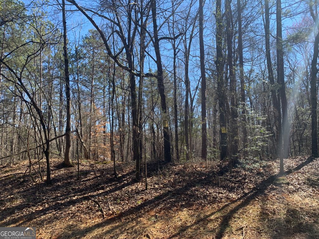 0 Veterans Drive, Danielsville, GA 30633 — exterior