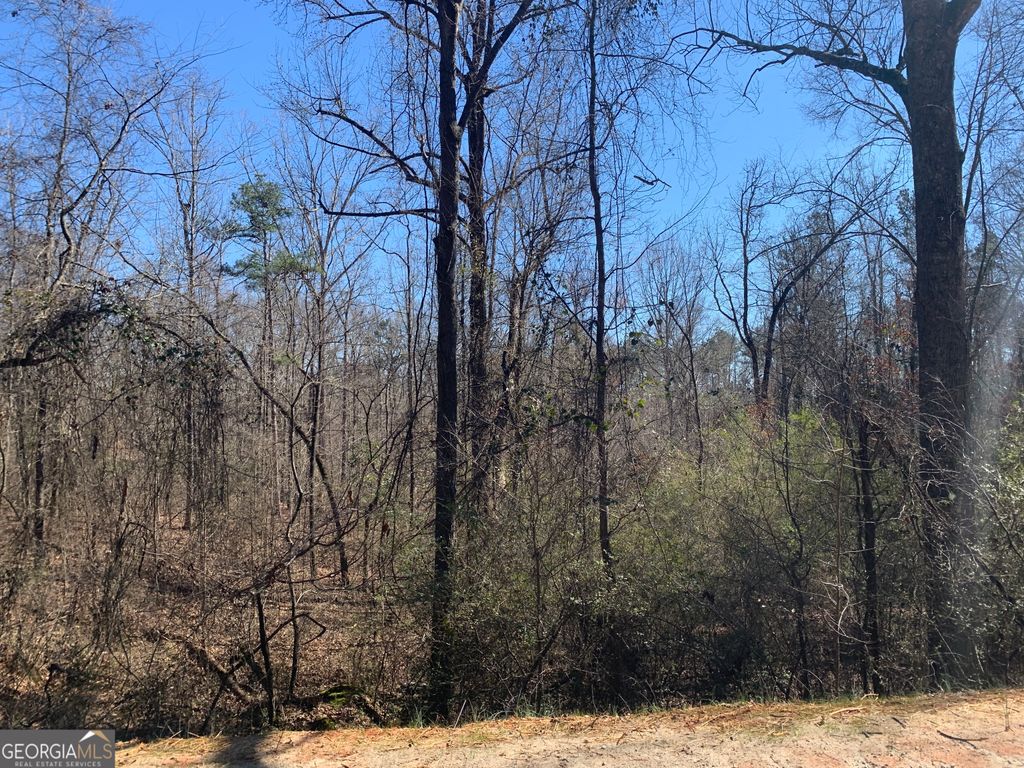 0 Veterans Drive, Danielsville, GA 30633 — photo 2
