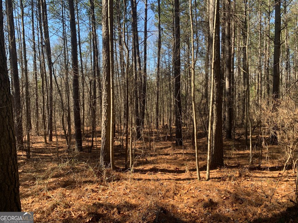 0 Veterans Drive, Danielsville, GA 30633 — photo 3