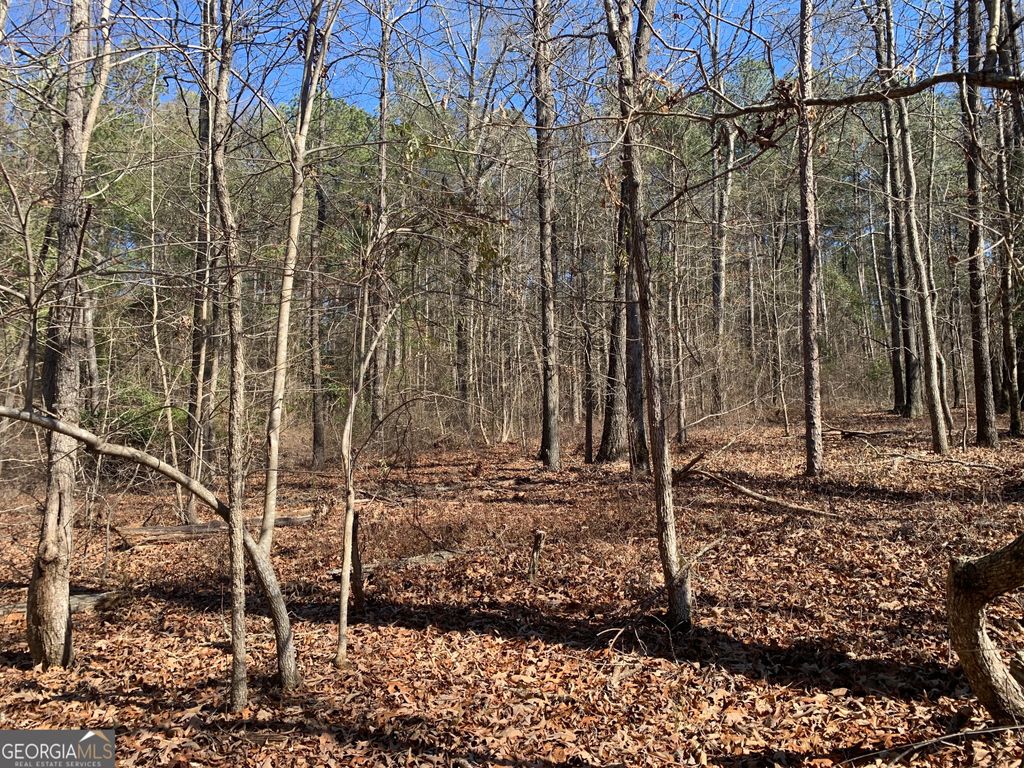0 Veterans Drive, Danielsville, GA 30633 — photo 4
