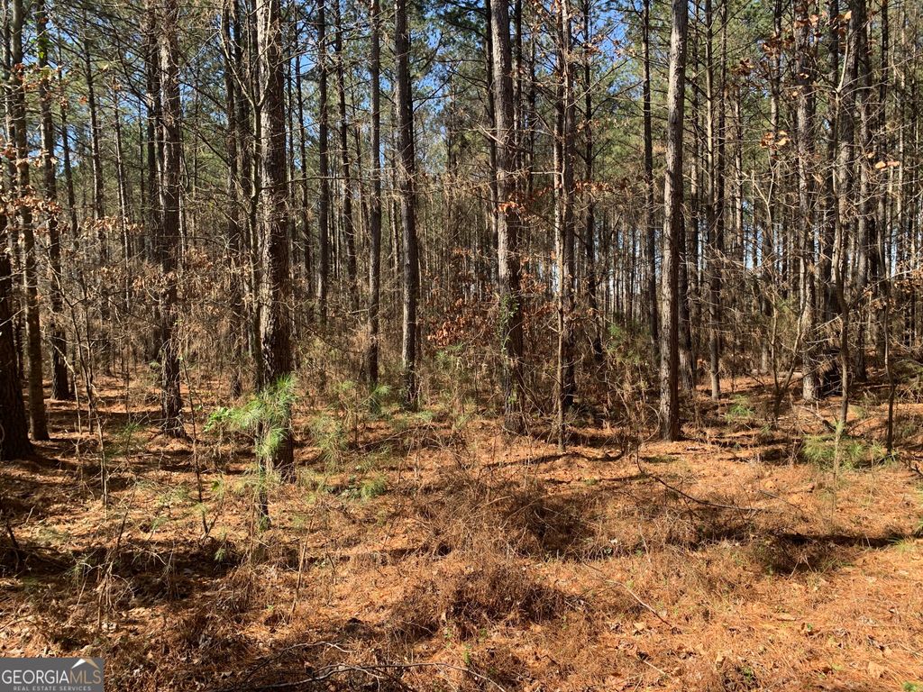 0 Veterans Drive, Danielsville, GA 30633 — photo 5