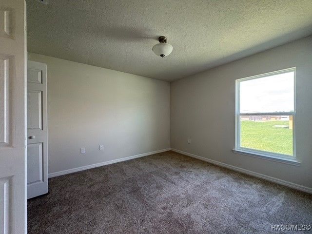 8220 N Wakefield Drive, Citrus Springs, FL 34434