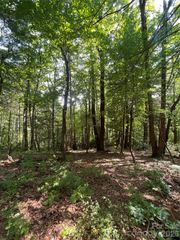 Lot # 21 Haverhill Court 21, Flat Rock, NC 28731
