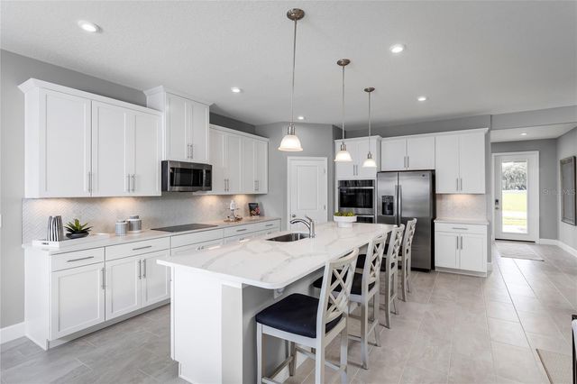 443 HAMMOCK OAKS BOULEVARD, Lady Lake, FL 32159