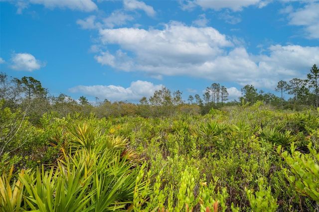 HONEYSUCKLE STREET, Eustis,, FL 32736