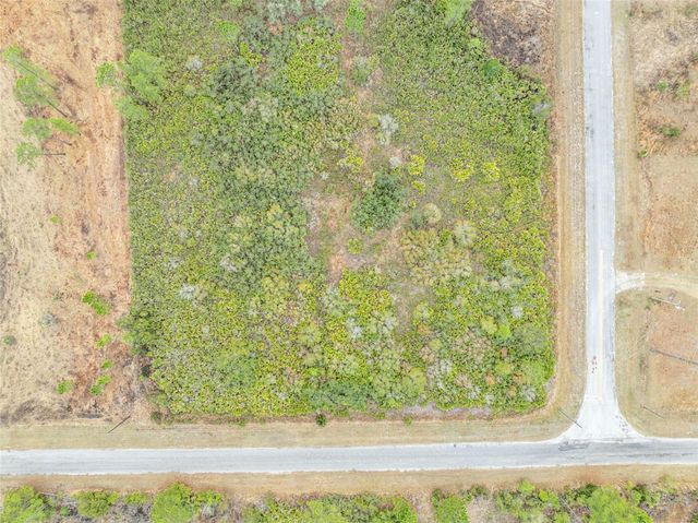 HONEYSUCKLE STREET, Eustis,, FL 32736