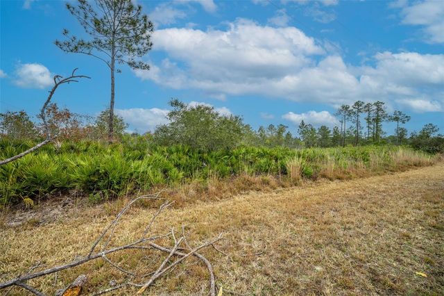 HONEYSUCKLE STREET, Eustis,, FL 32736