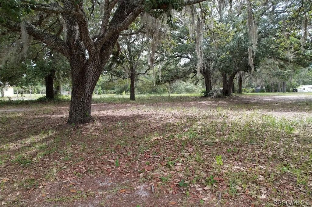 1890 S Carriage Terrace, Homosassa, FL 34448
