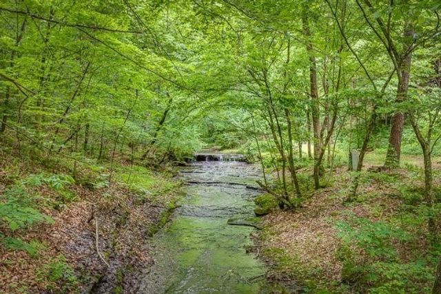 7941 Fernvale Rd, Fairview, TN 37062