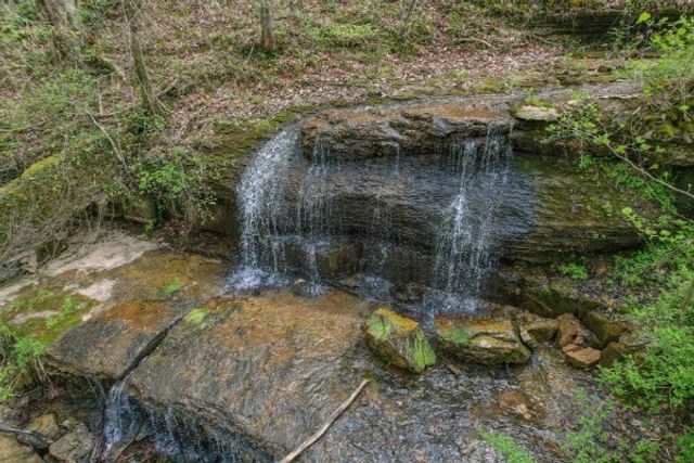 7941 Fernvale Rd, Fairview, TN 37062