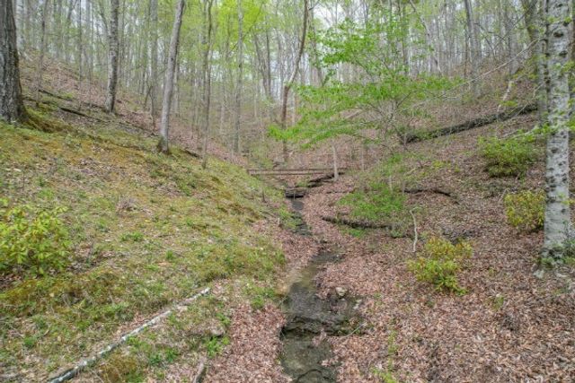 7941 Fernvale Rd, Fairview, TN 37062