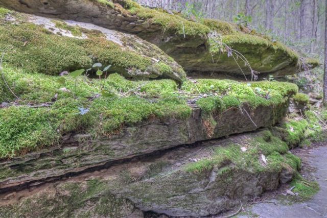 7941 Fernvale Rd, Fairview, TN 37062