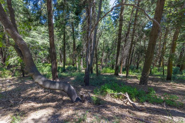 Lot 78 Cedar Pines Drive, Crestline, CA 92325