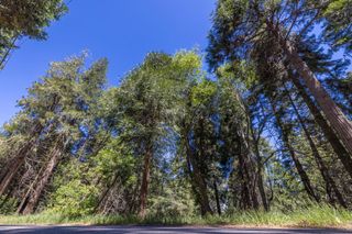 Lot 78 Cedar Pines Drive, Crestline, CA 92325