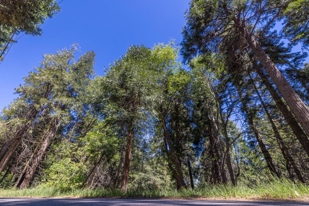 Image 1 of property listing at Lot 78 Cedar Pines Drive, Crestline, CA 92325