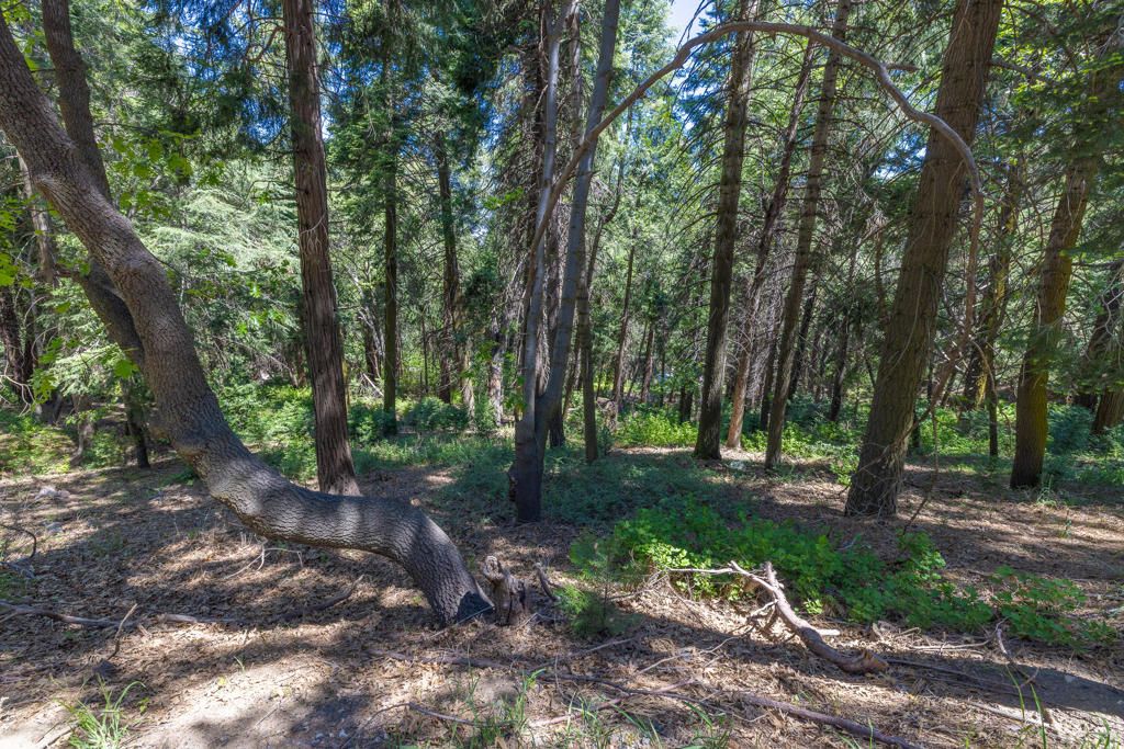 Image 2 of property listing at Lot 78 Cedar Pines Drive, Crestline, CA 92325
