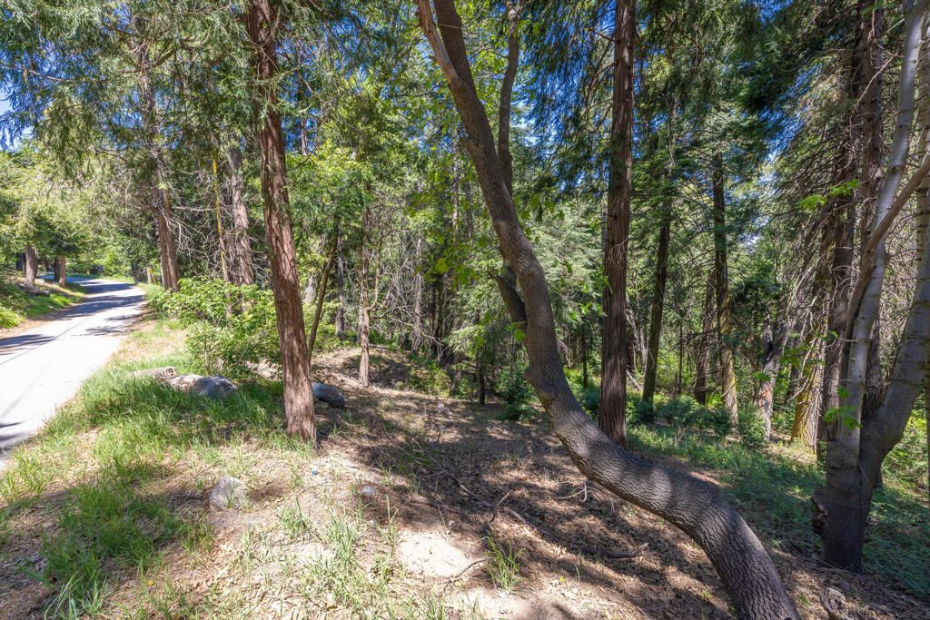 Image 3 of property listing at Lot 78 Cedar Pines Drive, Crestline, CA 92325