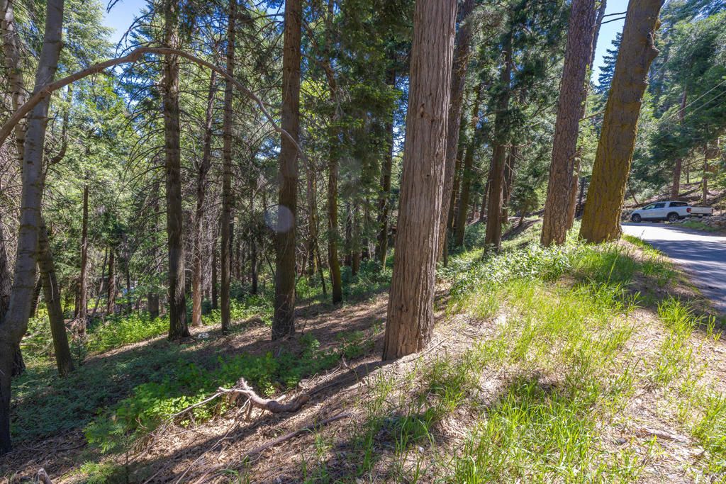 Image 4 of property listing at Lot 78 Cedar Pines Drive, Crestline, CA 92325