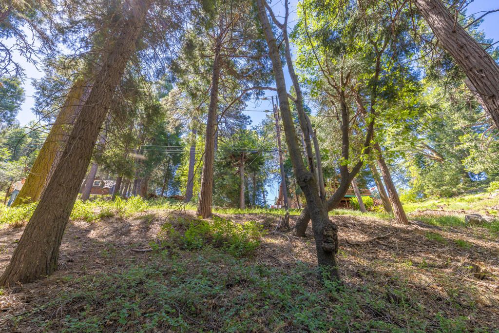 Image 5 of property listing at Lot 78 Cedar Pines Drive, Crestline, CA 92325
