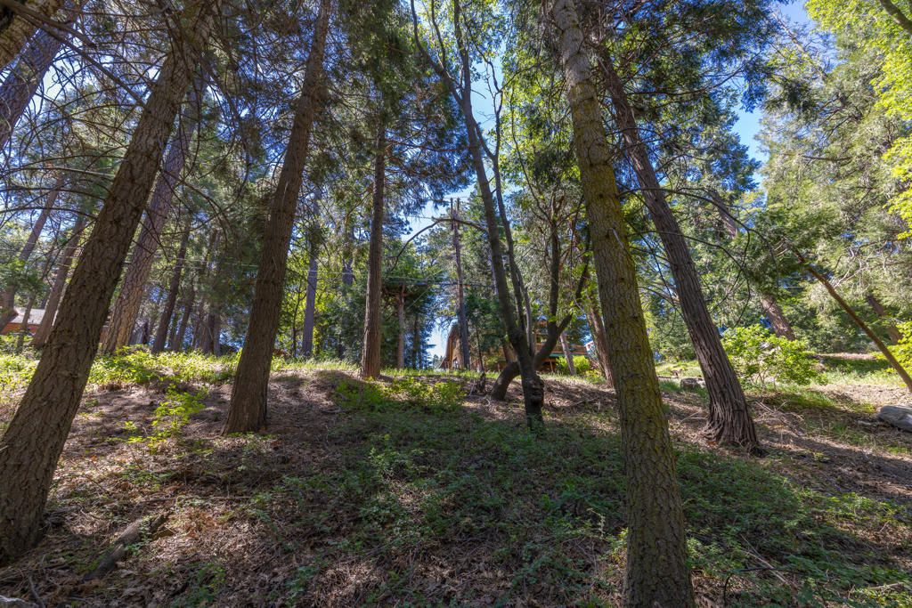 Image 6 of property listing at Lot 78 Cedar Pines Drive, Crestline, CA 92325