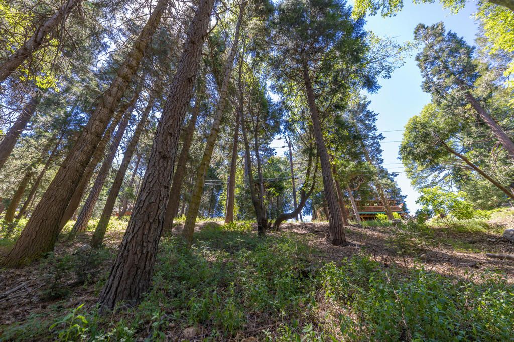 Image 7 of property listing at Lot 78 Cedar Pines Drive, Crestline, CA 92325