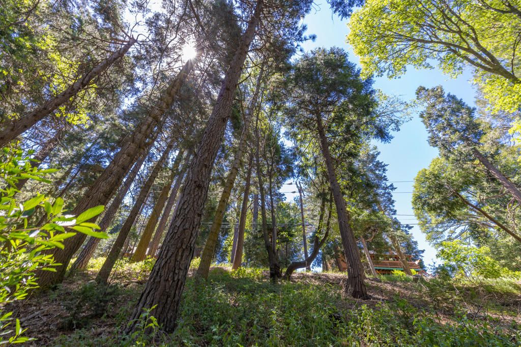 Image 8 of property listing at Lot 78 Cedar Pines Drive, Crestline, CA 92325