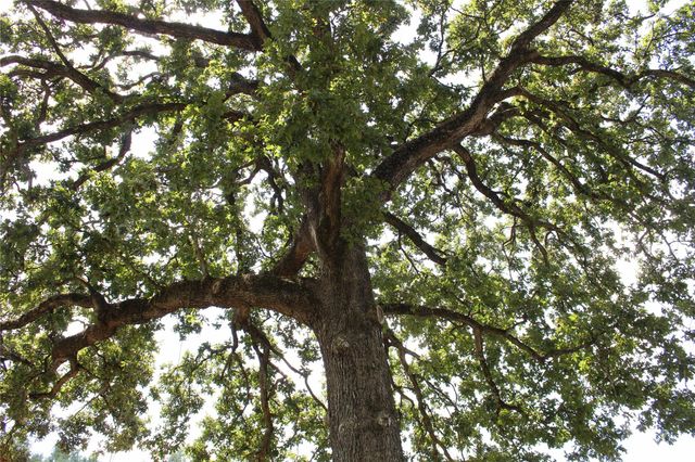 14040 Fm 1484 Road, Conroe, TX 77303