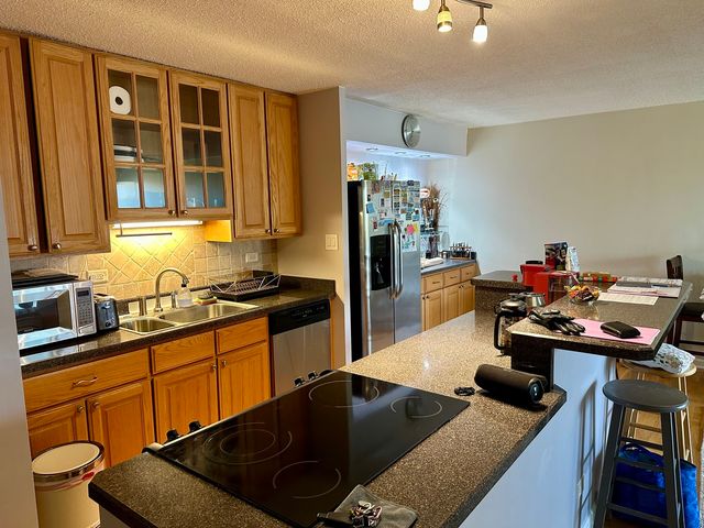 16 E OLD WILLOW Road 414S, Prospect Heights, IL 60070