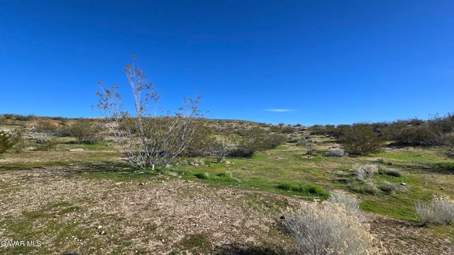 Near United St & Barrington Av, Rosamond, CA 93560