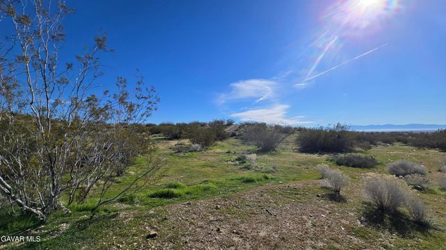 Near United St & Barrington Av, Rosamond, CA 93560