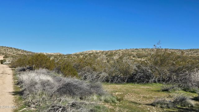 Near United St & Barrington Av, Rosamond, CA 93560