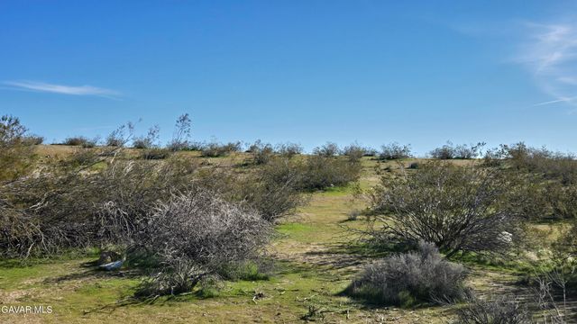 Near United St & Barrington Av, Rosamond, CA 93560