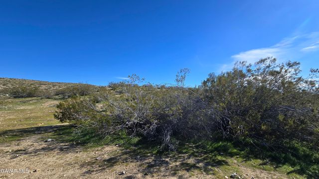 Near United St & Barrington Av, Rosamond, CA 93560