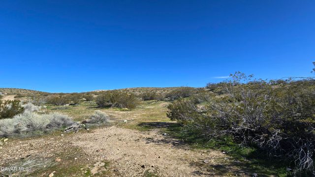 Near United St & Barrington Av, Rosamond, CA 93560