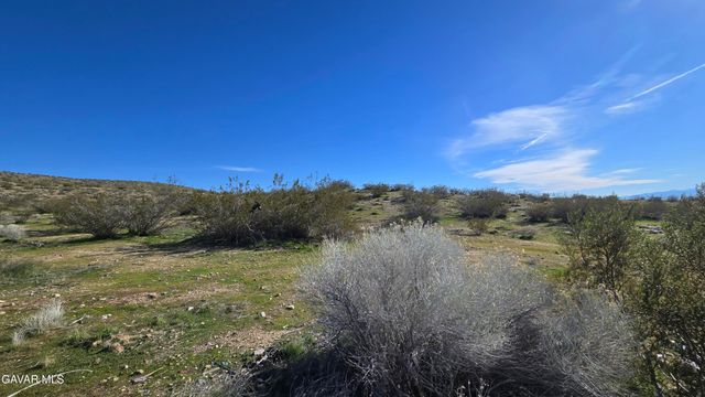 Near United St & Barrington Av, Rosamond, CA 93560