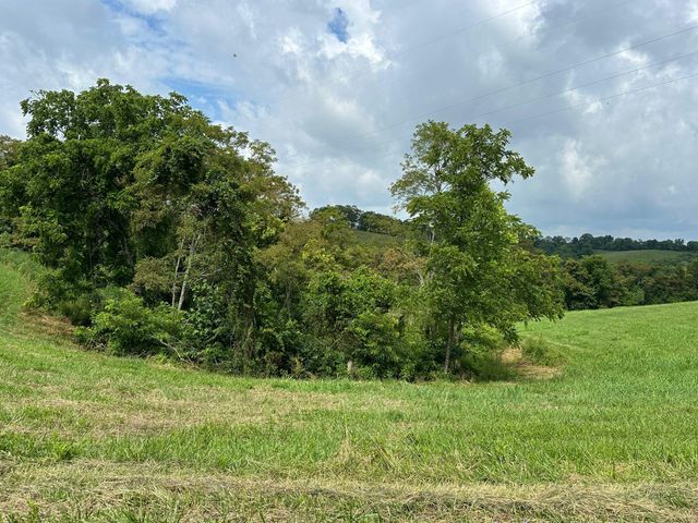 17A Bald Hill, Carlisle, KY 40311